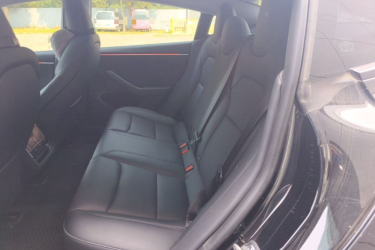 Used Tesla Model 3 2023 Long-Range All-Wheel-Drive Version Left Rear Seat