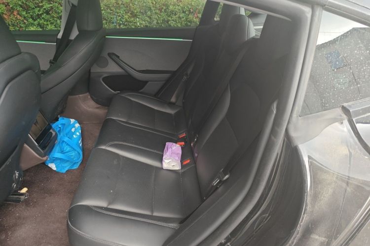 Used Tesla Model 3 2023 Rear-Wheel-Drive Version Left Rear Seat