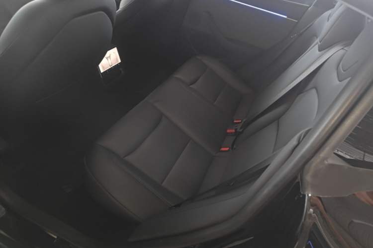 Used Tesla Model 3 2023 Rear-Wheel-Drive Version Left Rear Seat