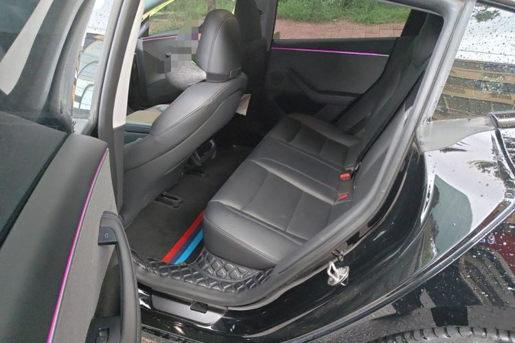 Used Tesla Model 3 2023 Rear-Wheel-Drive Version Left Rear Seat