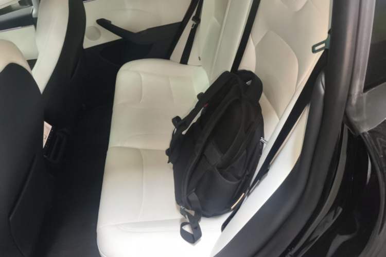 Used Tesla Model 3 2023 Rear-Wheel-Drive Version Left Rear Seat