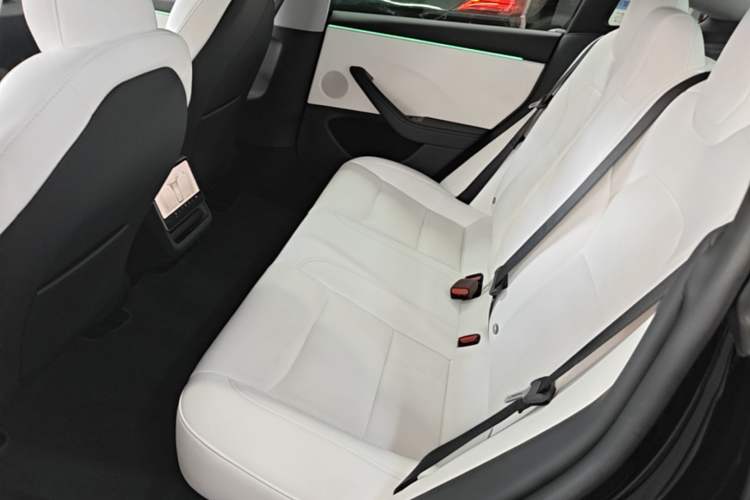 Used Tesla Model 3 2023 Rear-Wheel-Drive Version Left Rear Seat