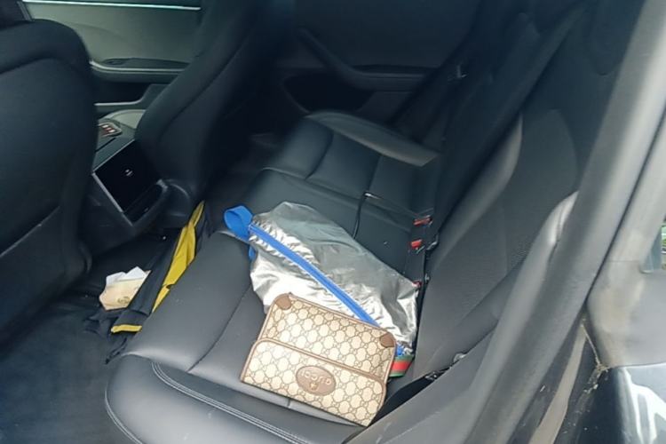 Used Tesla Model 3 2023 Rear-Wheel-Drive Version Left Rear Seat