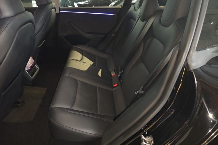 Used Tesla Model 3 2023 Long-Range All-Wheel-Drive Version Left Rear Seat