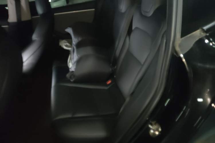 Used Tesla Model 3 2023 Rear-Wheel-Drive Version Left Rear Seat