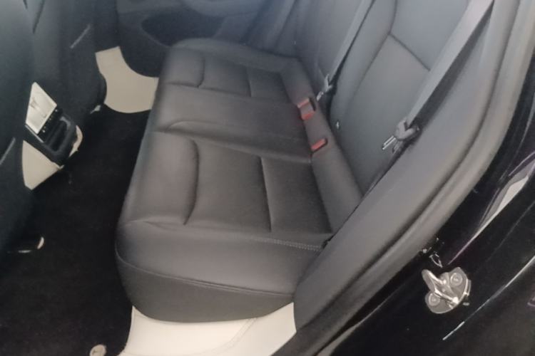 Used Tesla Model 3 2023 Rear-Wheel-Drive Version Left Rear Seat