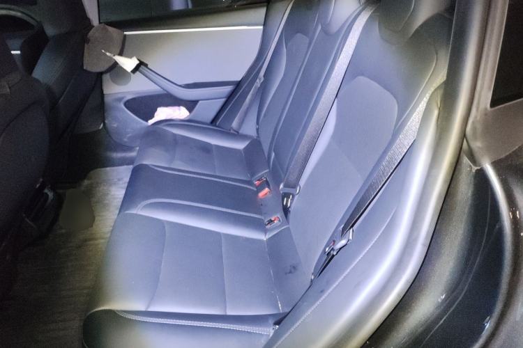 Used Tesla Model 3 2023 Rear-Wheel-Drive Version Left Rear Seat