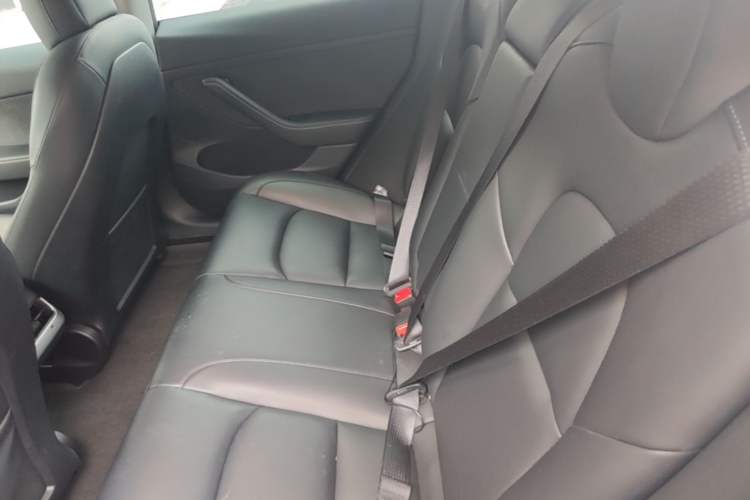 Used Tesla Model 3 2023 Rear-Wheel-Drive Version Left Rear Seat