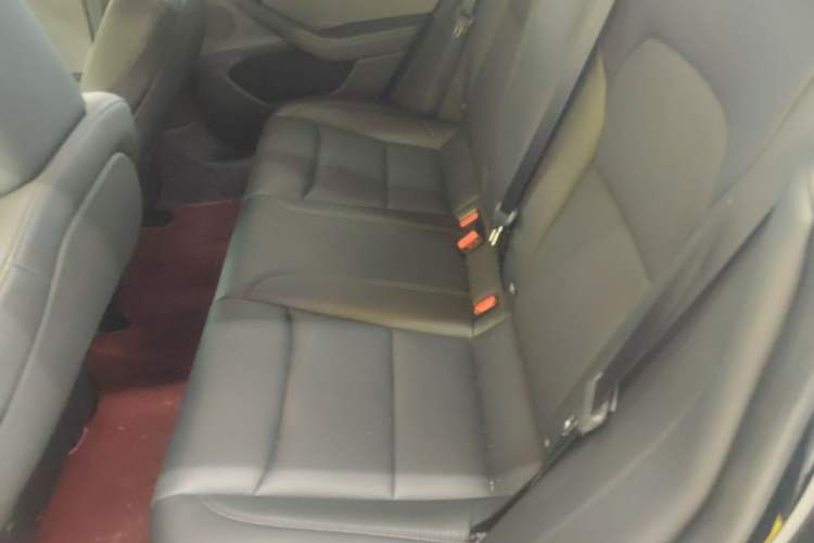 Used Tesla Model 3 2023 Rear-Wheel-Drive Version Left Rear Seat