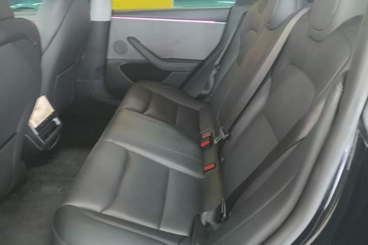Used Tesla Model 3 2023 Rear-Wheel-Drive Version Left Rear Seat