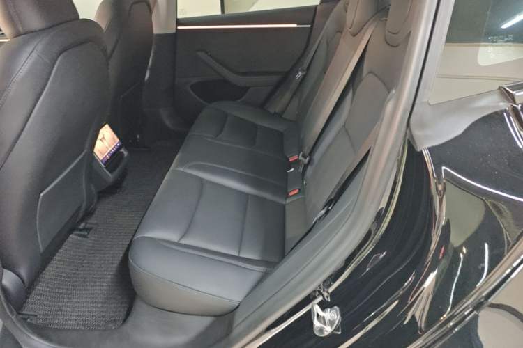 Used Tesla Model 3 2023 Long-Range All-Wheel-Drive Version Left Rear Seat