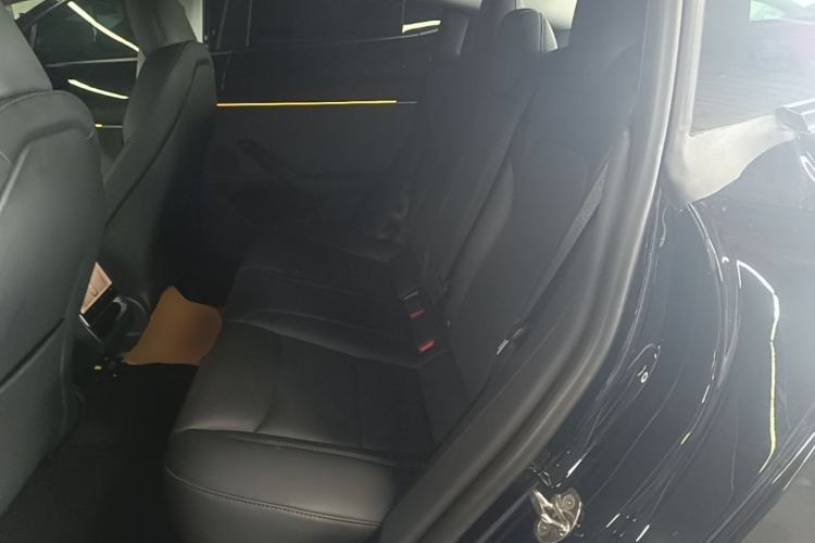 Used Tesla Model 3 2023 Rear-Wheel-Drive Version Left Rear Seat