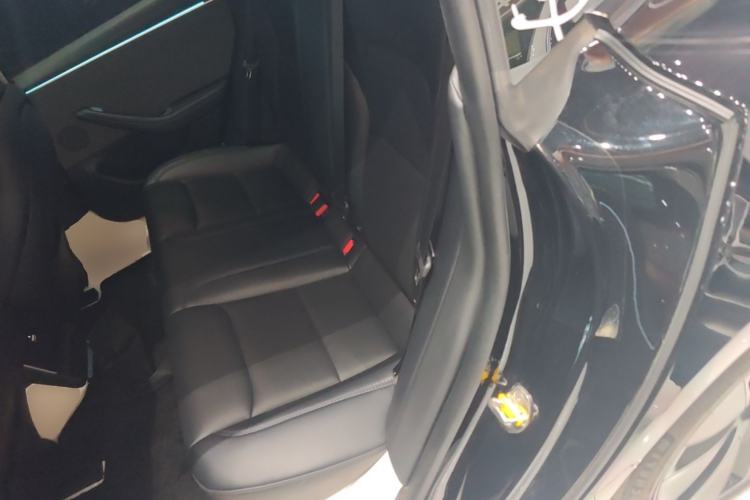 Used Tesla Model 3 2023 Rear-Wheel-Drive Version Left Rear Seat