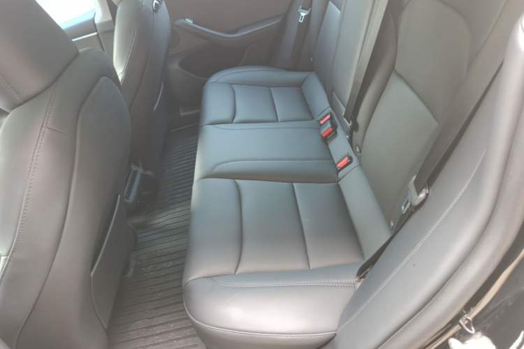 Used Tesla Model 3 2023 Rear-Wheel-Drive Version Left Rear Seat