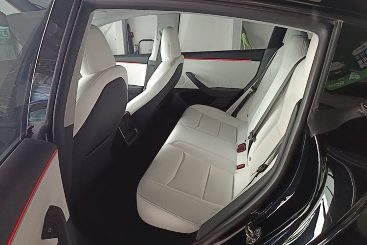 Used Tesla Model 3 2023 Long-Range All-Wheel-Drive Version Left Rear Seat