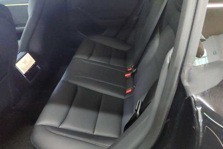 Used Tesla Model 3 2023 Long-Range All-Wheel-Drive Version Left Rear Seat