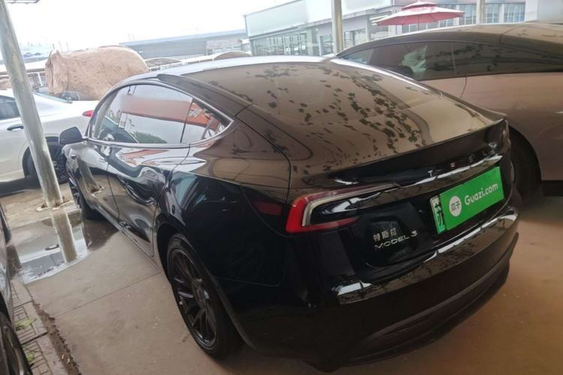 Used Tesla Model 3 2023 Rear-Wheel-Drive Version Rear Left 45 Deg