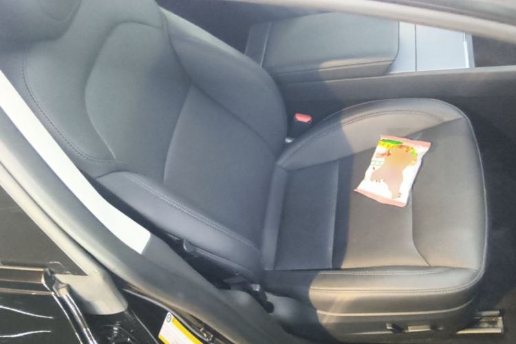 Used Tesla Model 3 2023 Rear-Wheel-Drive Version Right Front Seat