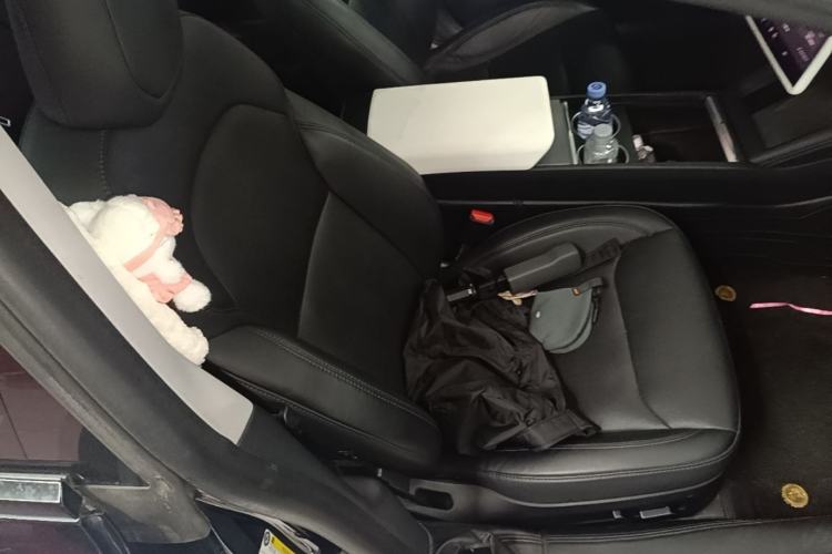 Used Tesla Model 3 2023 Rear-Wheel-Drive Version Right Front Seat
