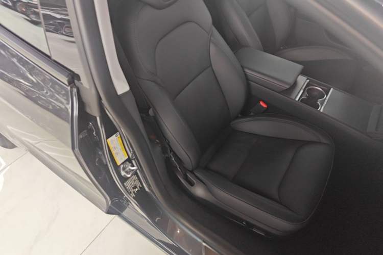 Used Tesla Model 3 2023 Long-Range All-Wheel-Drive Version Right Front Seat