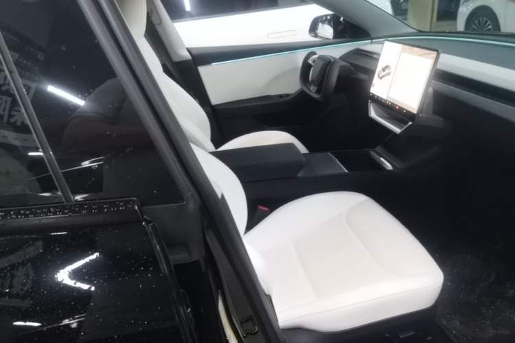 Used Tesla Model 3 2023 Long-Range All-Wheel-Drive Version Right Front Seat