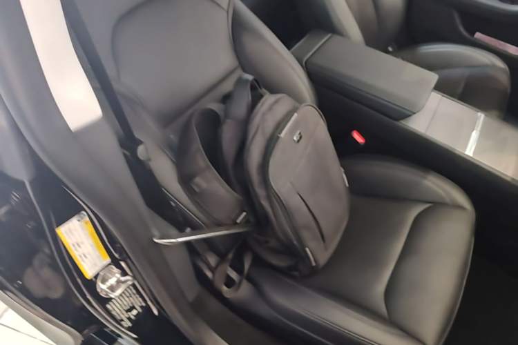 Used Tesla Model 3 2023 Long-Range All-Wheel-Drive Version Right Front Seat
