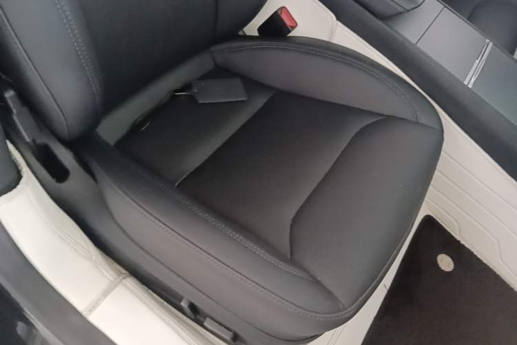 Used Tesla Model 3 2023 Rear-Wheel-Drive Version Right Front Seat