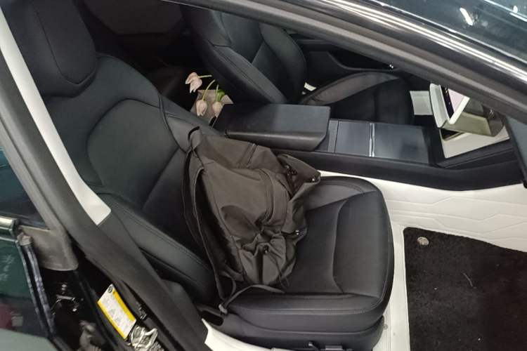 Used Tesla Model 3 2023 Rear-Wheel-Drive Version Right Front Seat