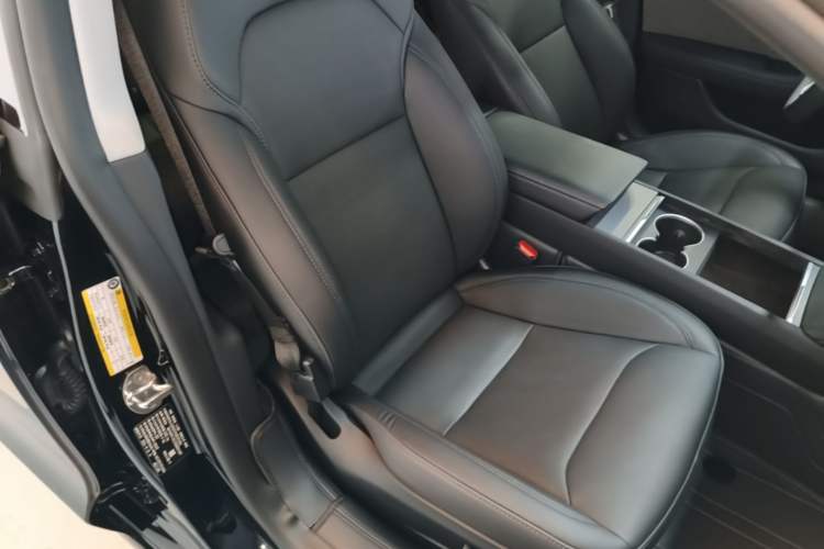 Used Tesla Model 3 2023 Rear-Wheel-Drive Version Right Front Seat