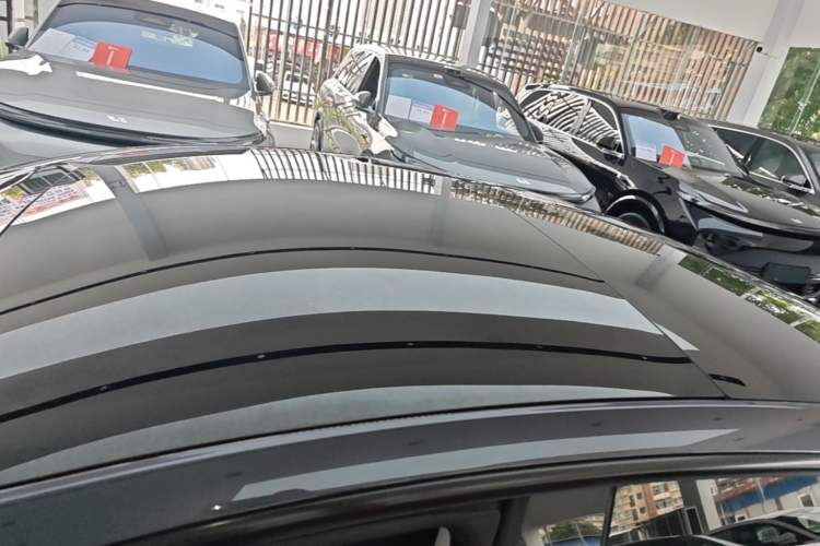 Used Tesla Model 3 2023 Rear-Wheel-Drive Version Roof