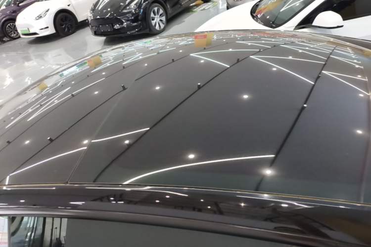 Used Tesla Model 3 2023 Rear-Wheel-Drive Version Roof