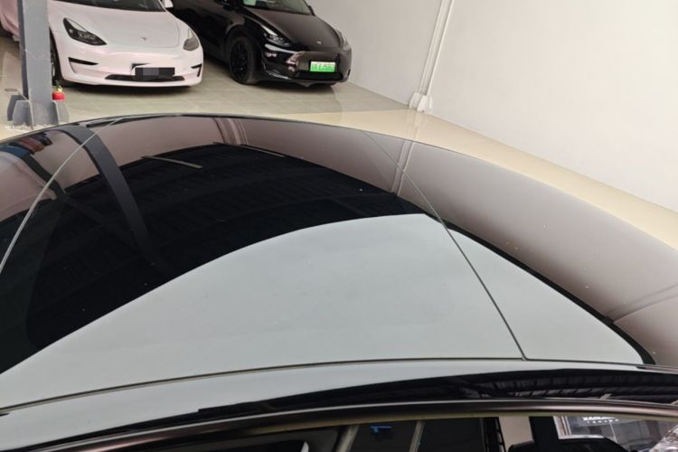 Used Tesla Model 3 2023 Rear-Wheel-Drive Version Roof