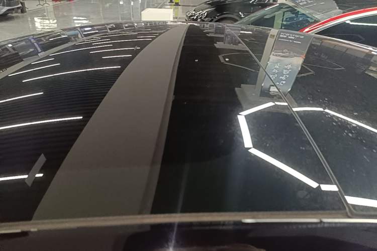Used Tesla Model 3 2023 Rear-Wheel-Drive Version Roof