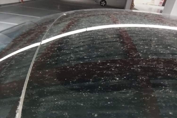 Used Tesla Model 3 2023 Rear-Wheel-Drive Version Roof