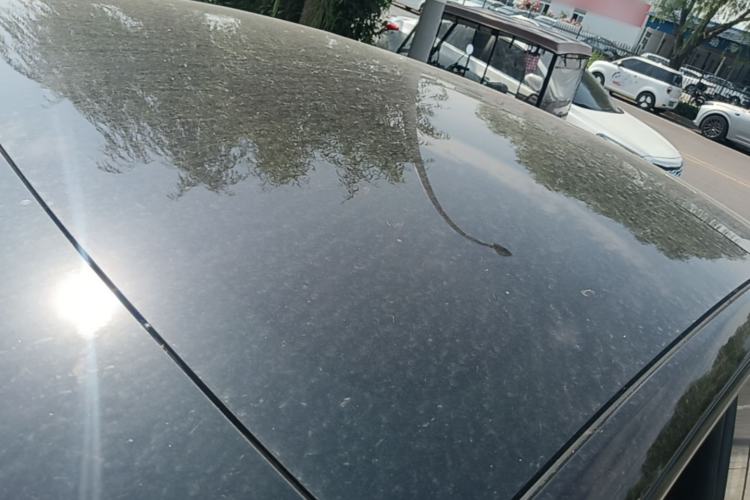 Used Tesla Model 3 2023 Rear-Wheel-Drive Version Roof