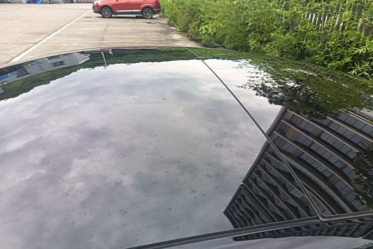 Used Tesla Model 3 2023 Rear-Wheel-Drive Version Roof
