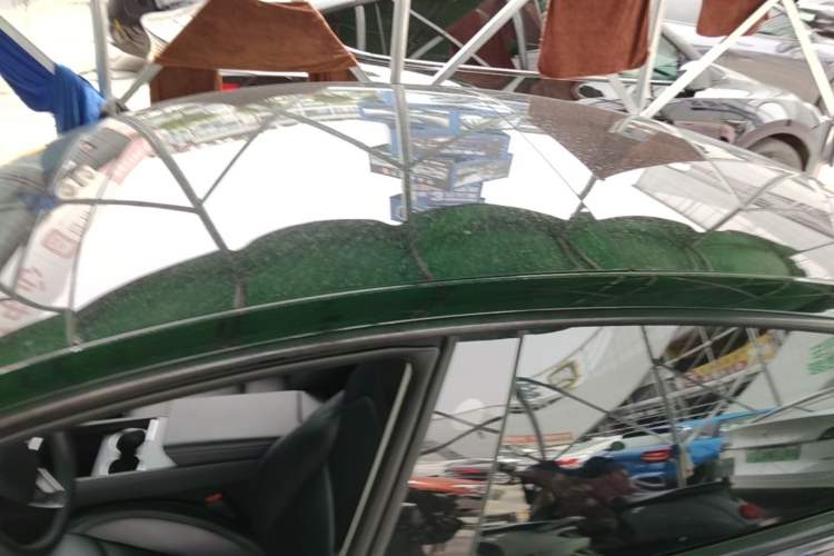Used Tesla Model 3 2023 Rear-Wheel-Drive Version Roof