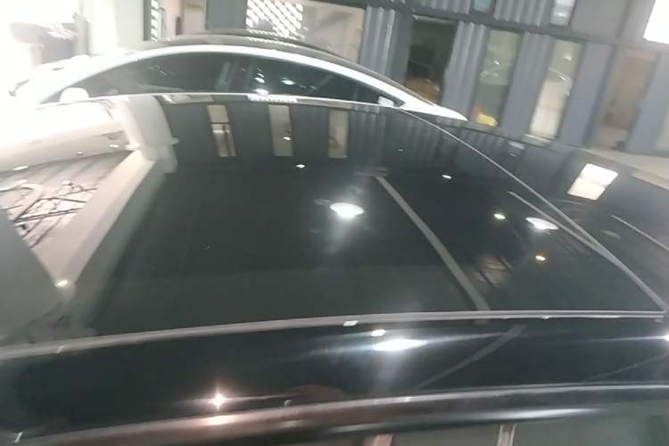 Used Tesla Model 3 2023 Rear-Wheel-Drive Version Roof