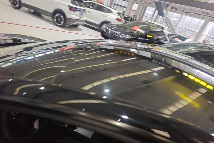 Used Tesla Model 3 2023 Rear-Wheel-Drive Version Roof