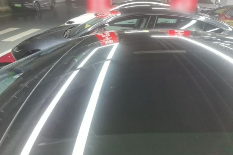 Used Tesla Model 3 2023 Rear-Wheel-Drive Version Roof