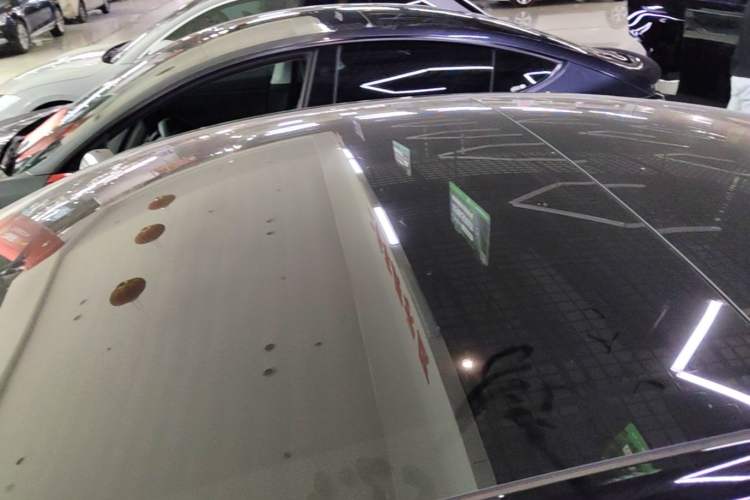 Used Tesla Model 3 2023 Rear-Wheel-Drive Version Roof