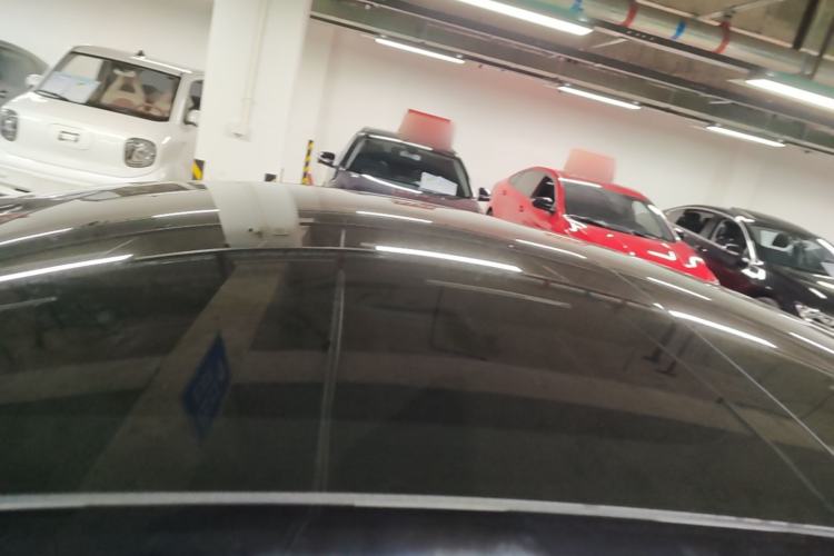 Used Tesla Model 3 2023 Rear-Wheel-Drive Version Roof