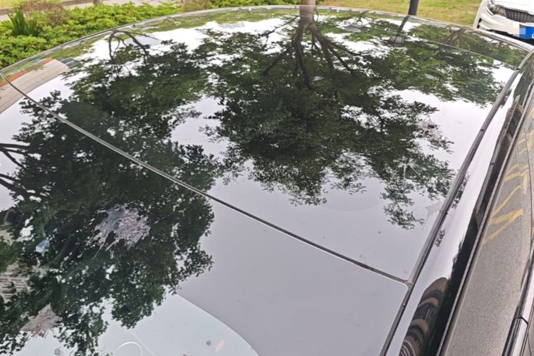 Used Tesla Model 3 2023 Rear-Wheel-Drive Version Roof