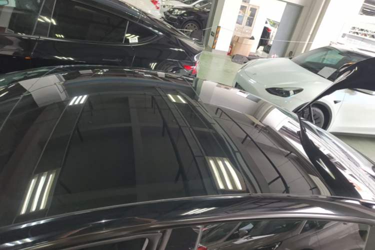 Used Tesla Model 3 2023 Rear-Wheel-Drive Version Roof
