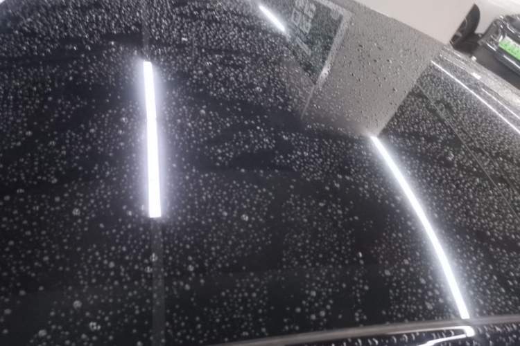 Used Tesla Model 3 2023 Long-Range All-Wheel-Drive Version Roof