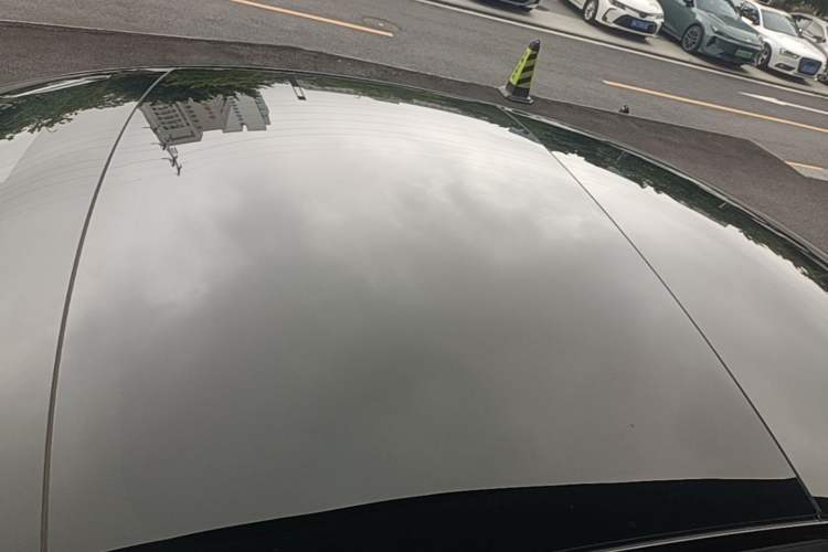 Used Tesla Model 3 2023 Rear-Wheel-Drive Version Roof