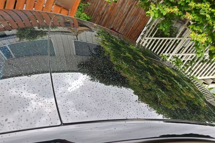 Used Tesla Model 3 2023 Rear-Wheel-Drive Version Roof