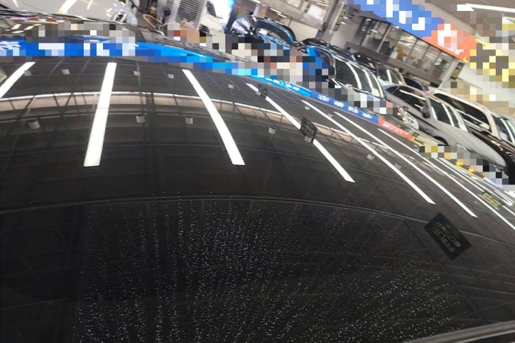 Used Tesla Model 3 2023 Rear-Wheel-Drive Version Roof