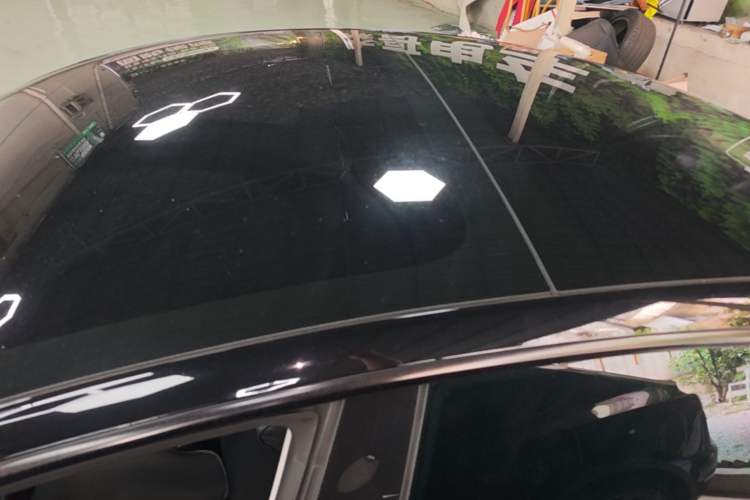 Used Tesla Model 3 2023 Rear-Wheel-Drive Version Roof