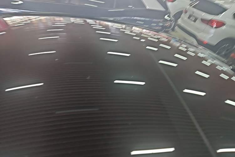 Used Tesla Model 3 2023 Rear-Wheel-Drive Version Roof